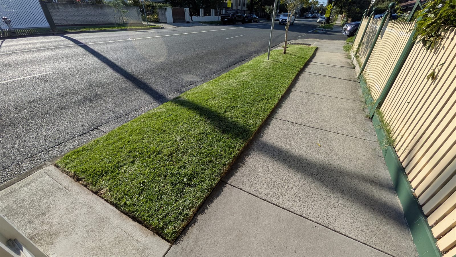 Long nature strip mown and edged beside a picket fence, Bayside Melbourne