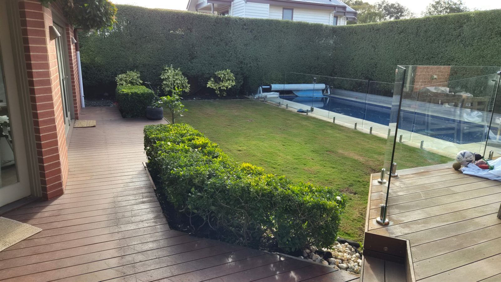 Mown backyard lawn with a trimmed border hedge beside a pool, Bayside Melbourne