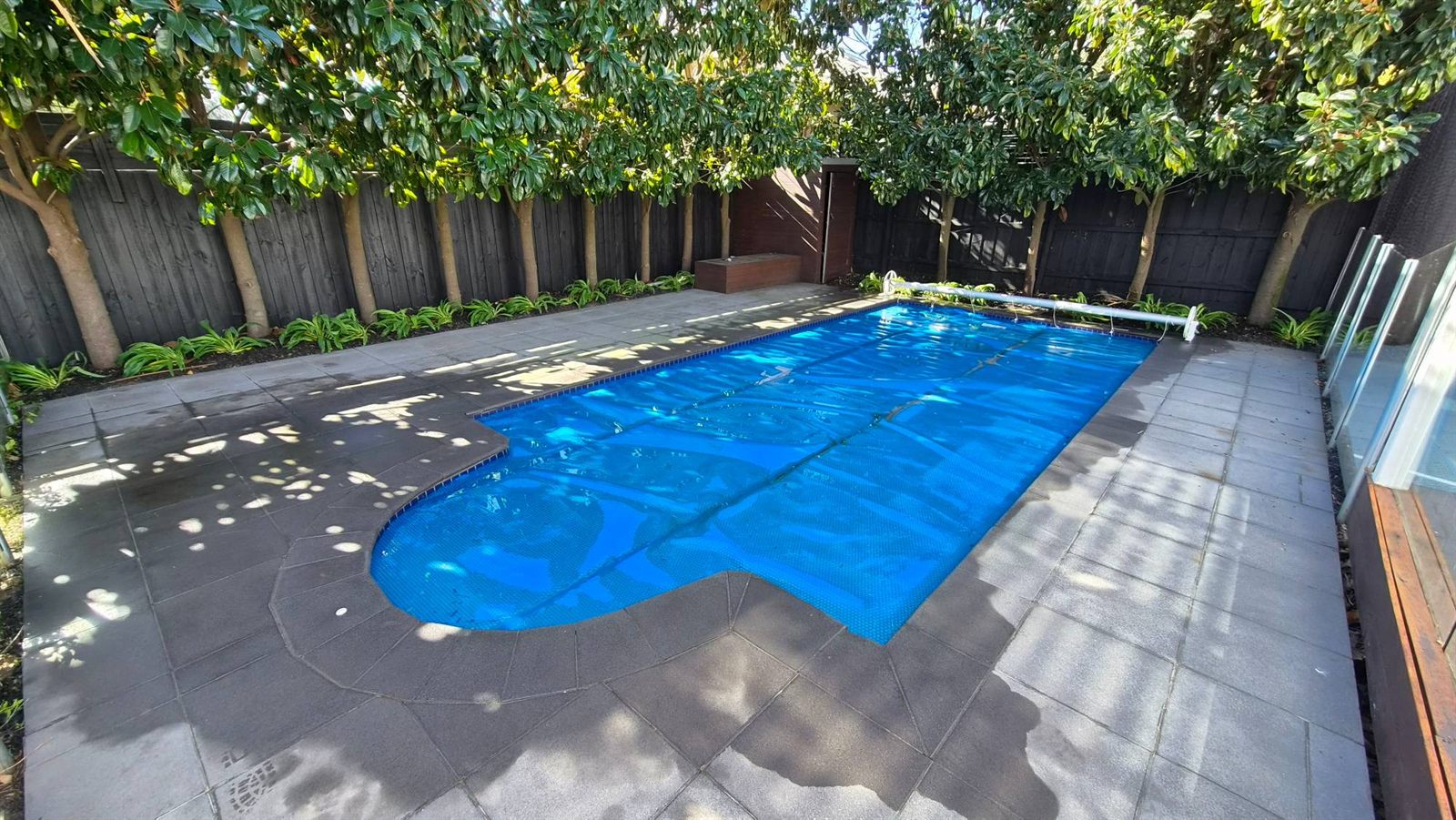 Trimmed screening trees around a tidy pool surround, garden maintenance by Wilson's Mowing, Bayside Melbourne