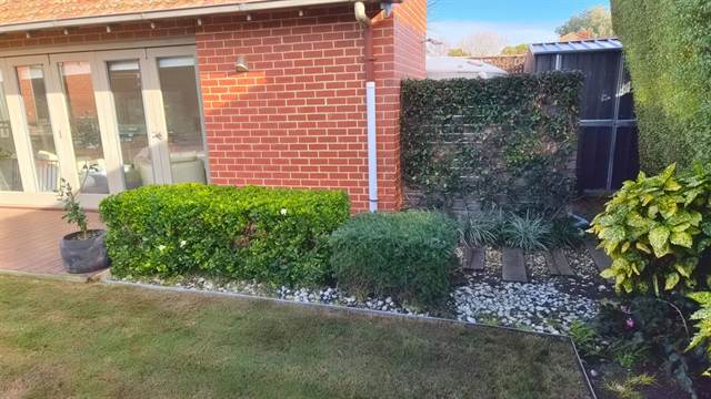 Clipped hedge and tidy pebble garden border, Bayside Melbourne