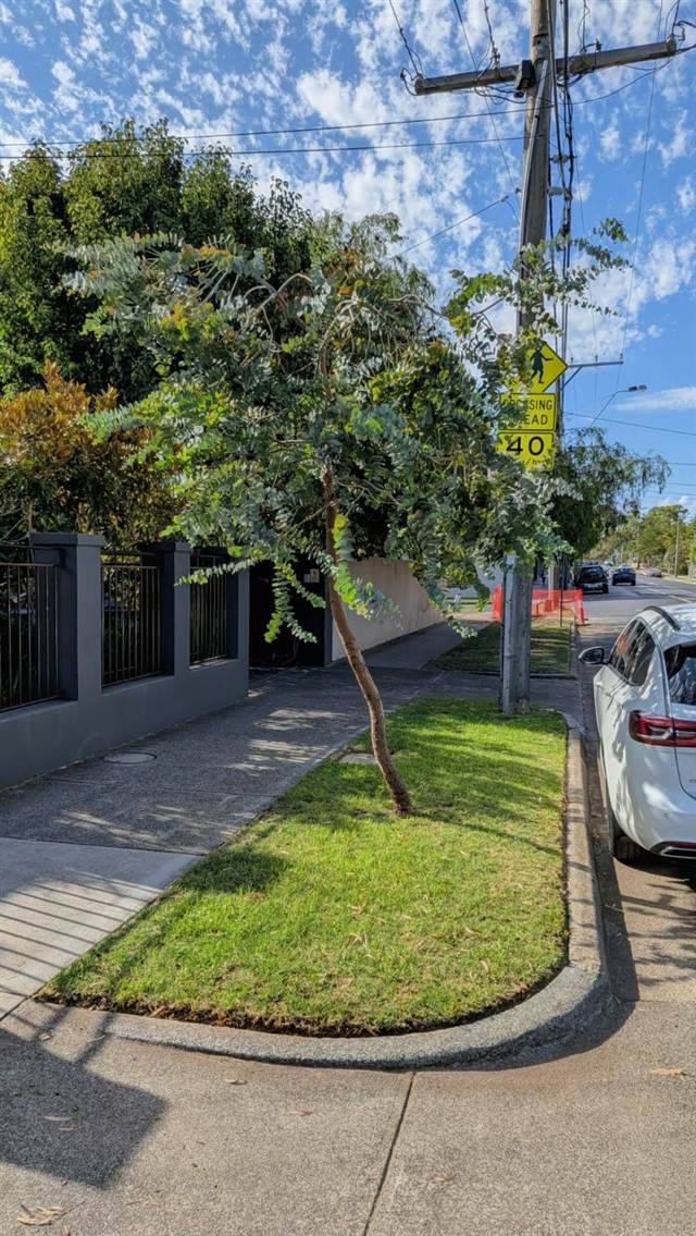Corner nature strip mown and edged with a neat kerbside finish, Bayside Melbourne